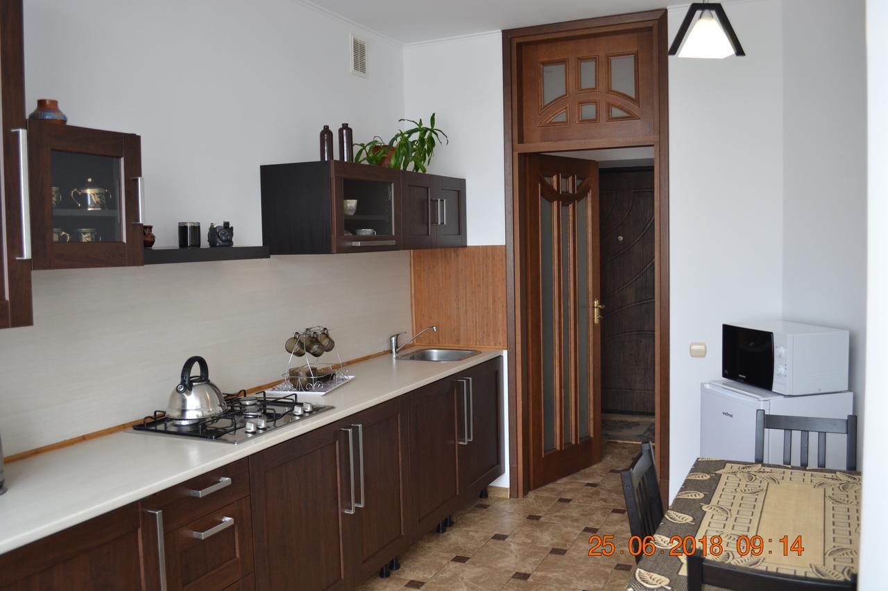 Sunny Apartment In The City Center Truskavec Exteriér fotografie